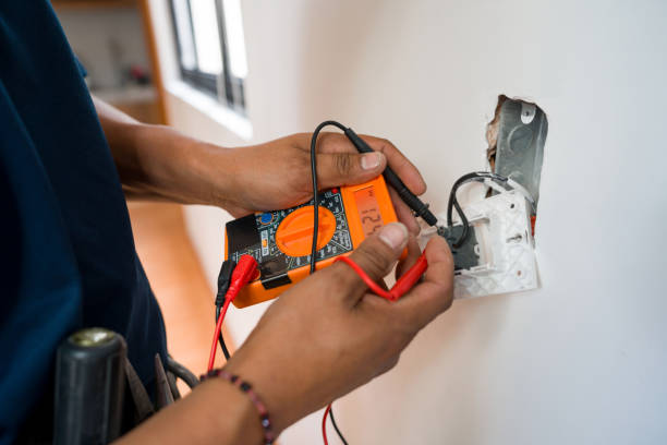 Best Electrical System Inspection  in Caledonia, MN