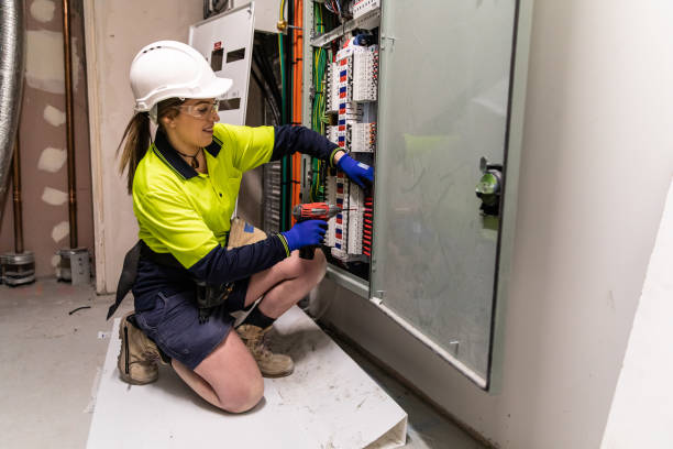 Best Electric Panel Repair  in Caledonia, MN