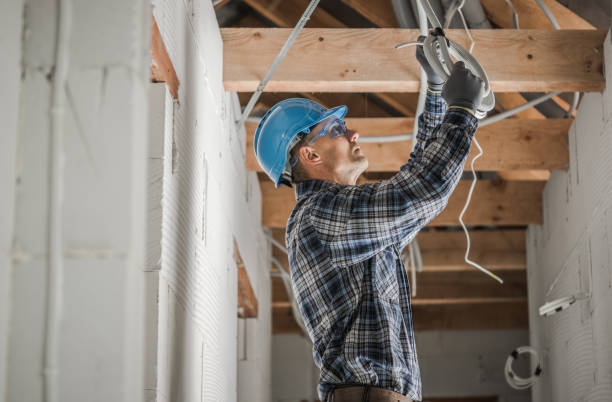 Best Generator Installation Services  in Caledonia, MN