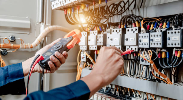 Best Home Electrical Repair  in Caledonia, MN