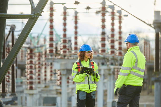 Best Circuit Breaker Repair  in Caledonia, MN
