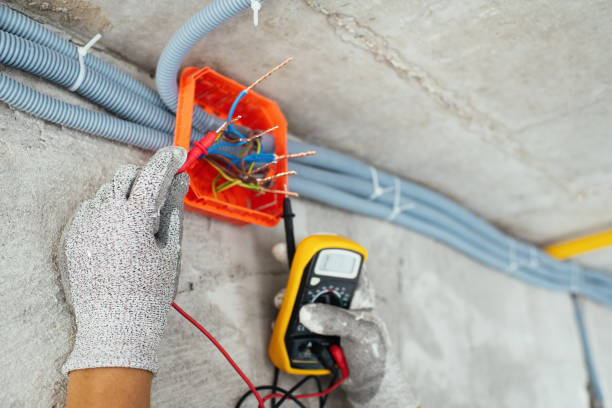 Best Local Electrician Companies  in Caledonia, MN
