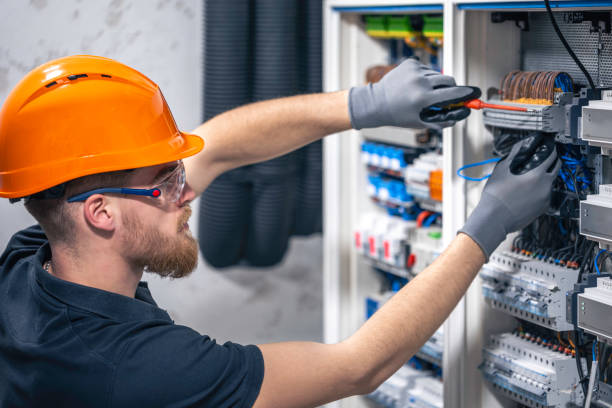 Best Local Electrician Companies  in Caledonia, MN
